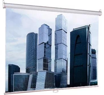  Настенный экран Lumien Eco Picture 127х200см (рабочая область 121х194 см) MW восьмигранный корпус, возможность потолочн./настенного крепления, уровень в комплекте, 16:10 (треугольная упаковка)