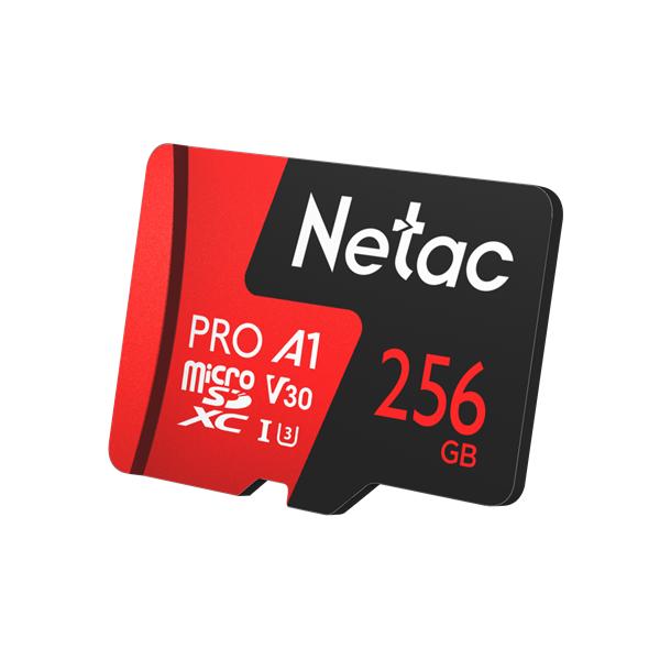 Носитель информации Netac P500 Extreme 256GB Pro MicroSDXC V30/A1/C10 up to 100MB/s, retail pack with SD Adapter
