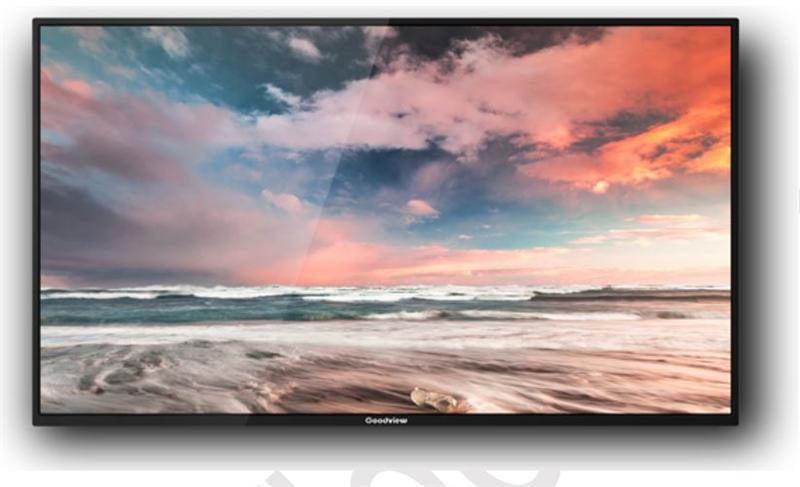 Профессиональный дисплей GoodView 55" AD display, 600cd/m2, 24/7, FHD